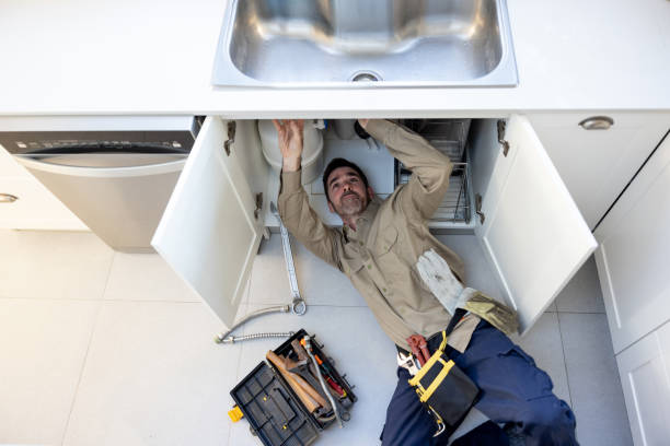 Best Toilet Repair Services  in Sale Creek, TN